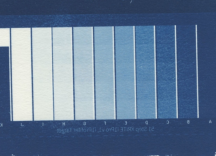 cyanotype-results.jpg
