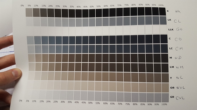 52179322_555145698229023_8379913976875581440_n