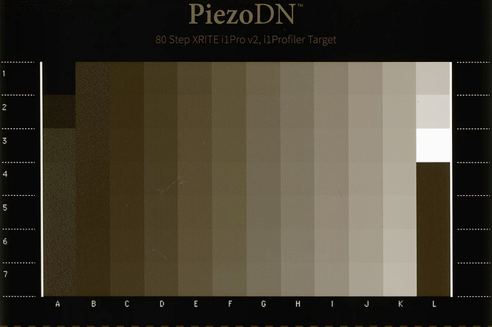 piezography_11_16_80_step_neg