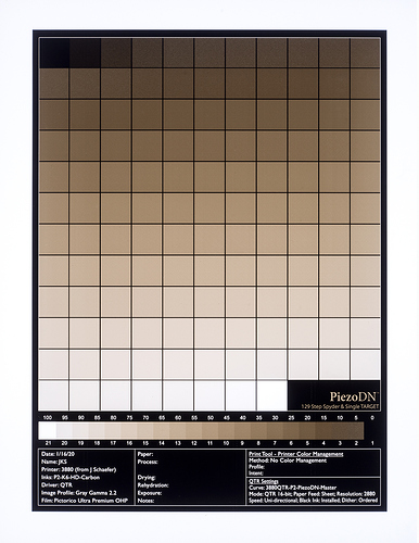 20200326_P2-Carbon