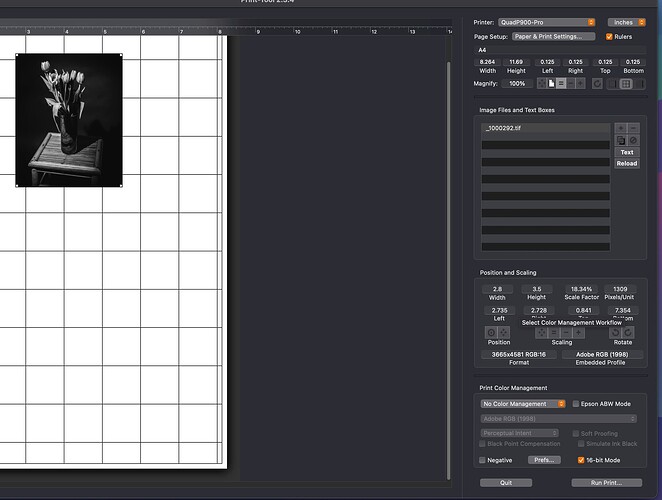 Screenshot 2025-08-18 at 11.00.00