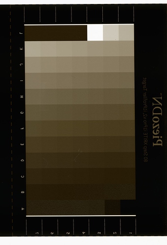 piezography_11_16_80_step_neg