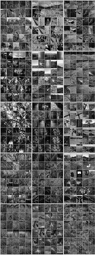 Complete  Perdido press tiff25%