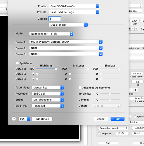 Screen Shot 2020-02-01 at 1.22.52 PM