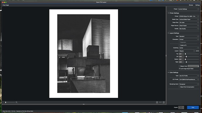 Screenshot 2025-02-25 at 10.01.46 AM