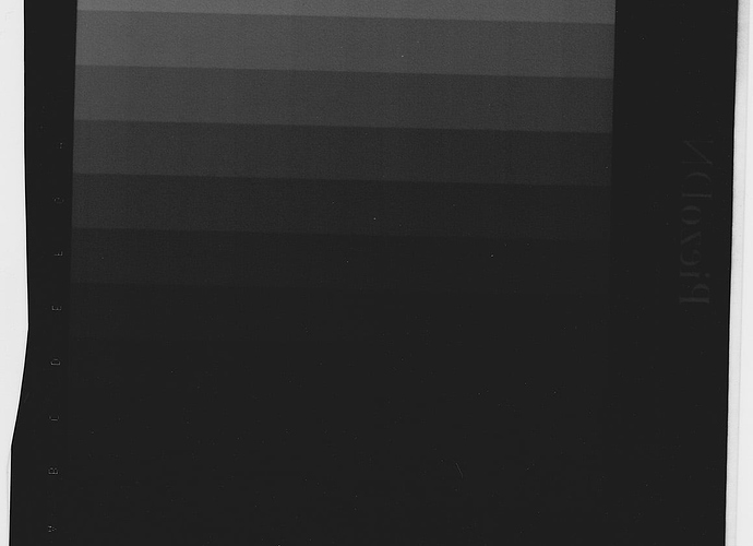 129StepNegative-black-and-white-setting-resized.jpg