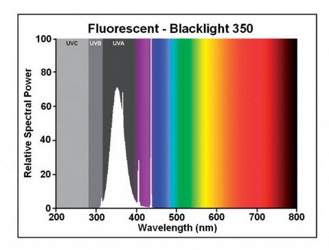 Fluorescent350BLSpectralChart.3.jpg